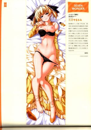 Dakimakura Cover Gashuu Bishoujo Game Hen Page #54