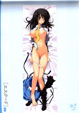 Dakimakura Cover Gashuu Bishoujo Game Hen Page #27