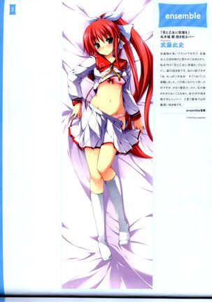 Dakimakura Cover Gashuu Bishoujo Game Hen Page #20
