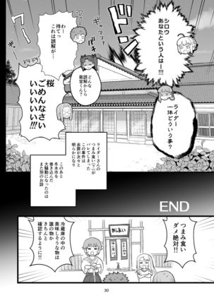 Rider-san no Tsumamigui Page #31