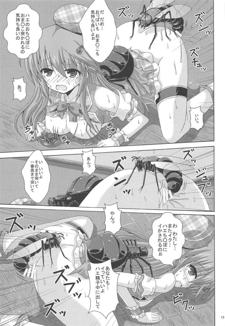 Gaichuu-tachi no Koukasai
