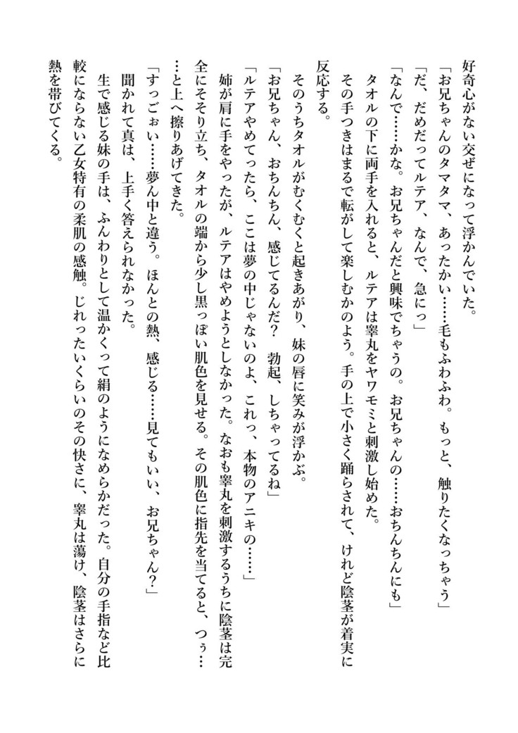 デキる妹はいかがですか？ 淫魔な妹と甘エロ子作り