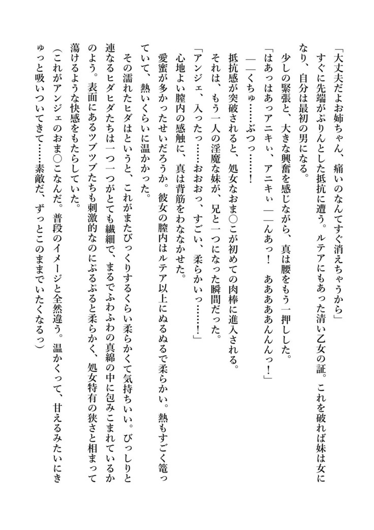 デキる妹はいかがですか？ 淫魔な妹と甘エロ子作り