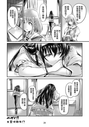 Saenai Heroine Series Vol. 4 Saenai Tsundere Ojou-sama no Sasoikata Page #28