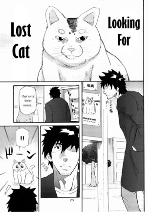 Looking For Lost Cat Page #1