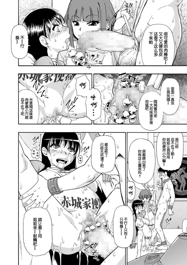 Hanayome Ningyou Saishuukai