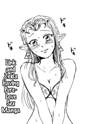 Link to Zelda ga Jun Ai Ecchi suru Manga