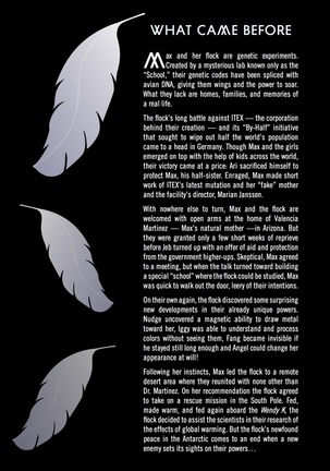 Maximum Ride: The Manga, Vol. 8 by James Patterson - Page 4