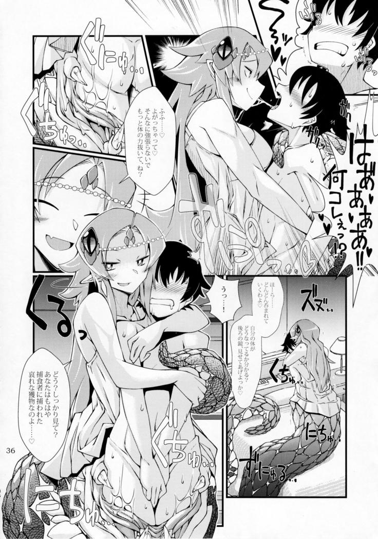 Pure Nomi Kiwami