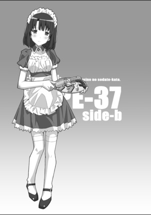 TYPE-37 side-b Page #22