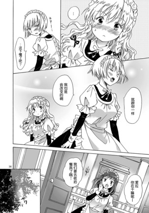 Chiisana Maid-san no Himitsu Page #35