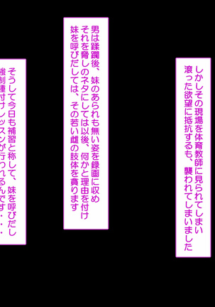 ニイサンセンヨウ イモウトオナホール Page #534