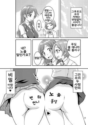 Hentai Roshutsu Shimai Page #29