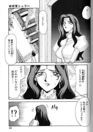 Himeshougun Shelah Page #41