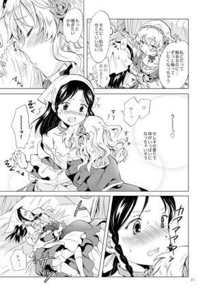Hime-sama to Dorei-chan - Page 26