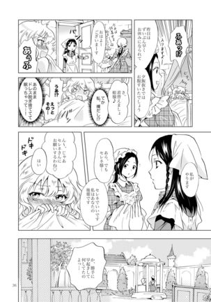 Hime-sama to Dorei-chan - Page 35