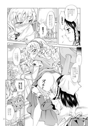 Hime-sama to Dorei-chan - Page 39