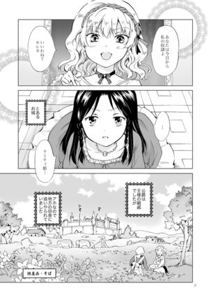 Hime-sama to Dorei-chan - Page 2