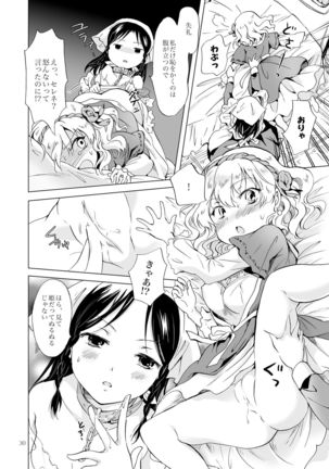 Hime-sama to Dorei-chan - Page 29