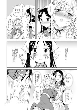 Hime-sama to Dorei-chan - Page 23