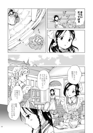 Hime-sama to Dorei-chan - Page 47