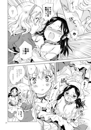 Hime-sama to Dorei-chan - Page 27