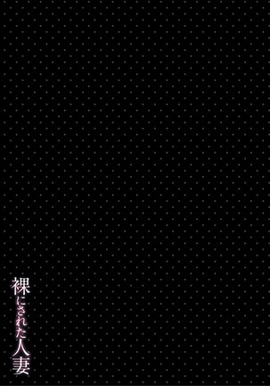 Hadaka ni sa reta hitodzuma Page #101