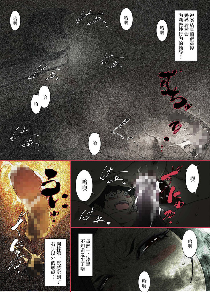 Kittsui Seikaku no Kyouiku Mama ga, Jukenki Nomi Kurayami no Naka Nomi to Iu Jouken de Musuko no Sex Dairizuma o Tsutomeru Hanashi.