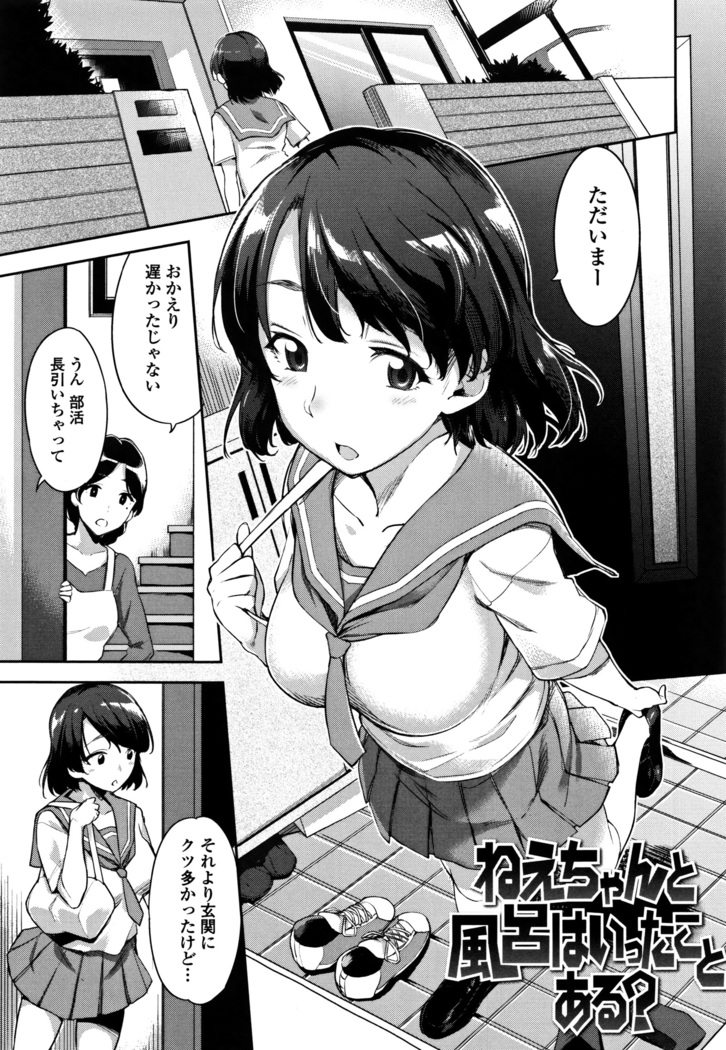 Ai ga Nakute mo Ecchi wa Dekiru!