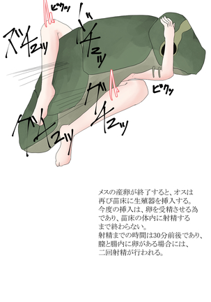 Oomushikaisetuzukan