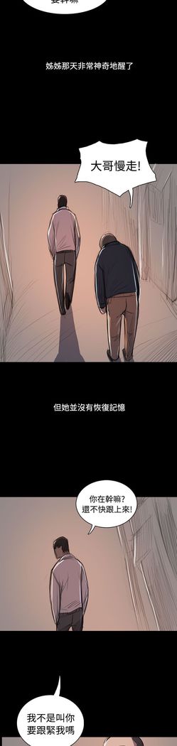 姐姐:莲 52-65+后记