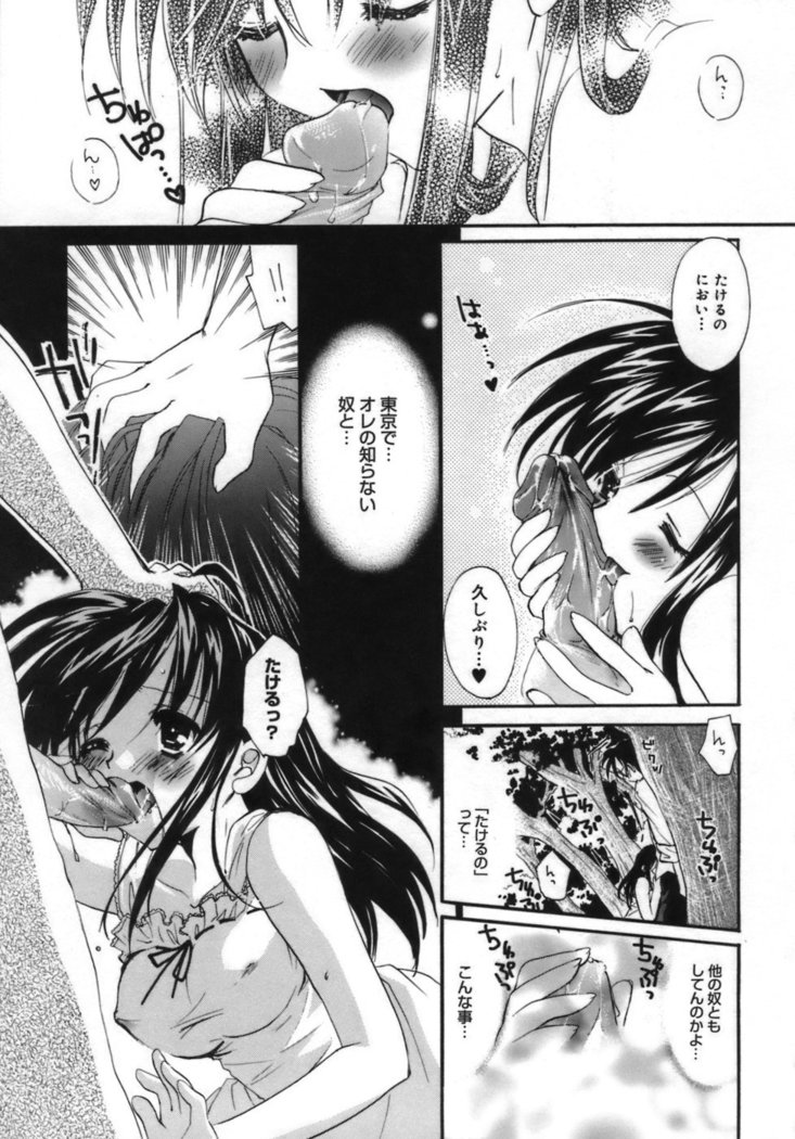 Shoujo Zokusei - Girls attribute