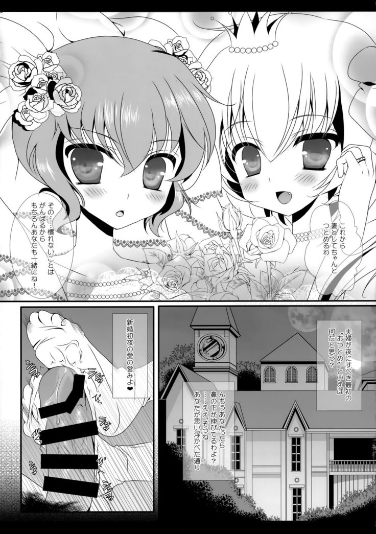 Flower Setoran Touhou Sairokushuu