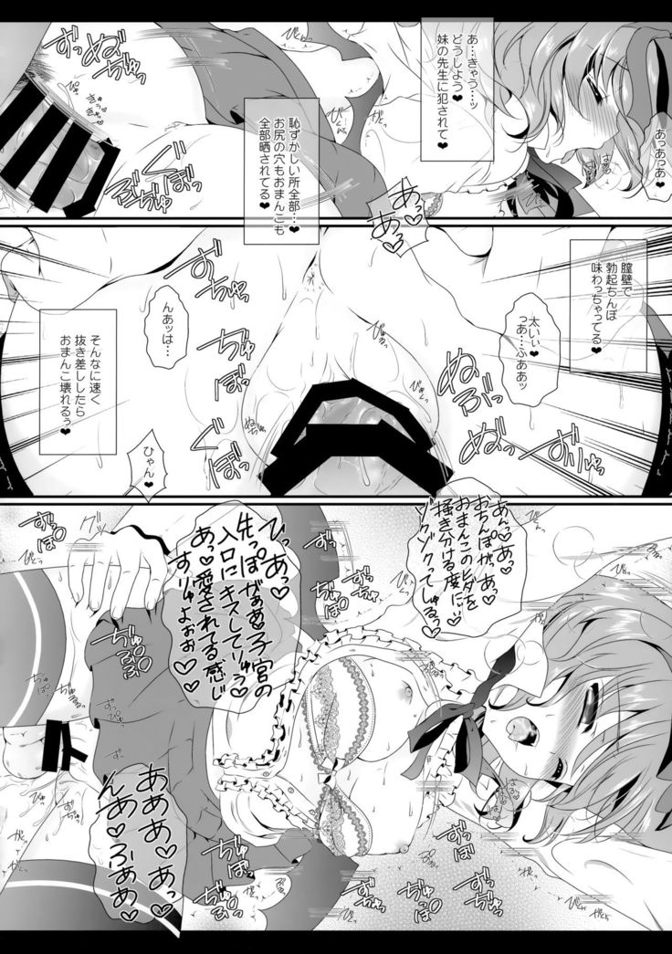 Flower Setoran Touhou Sairokushuu