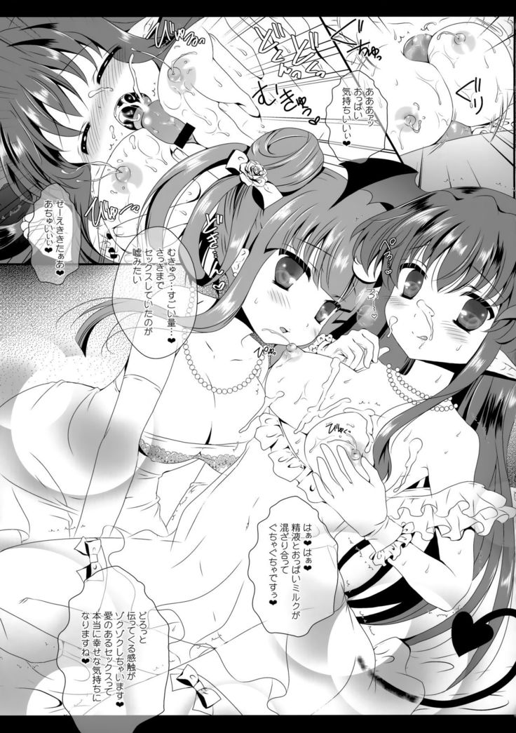 Flower Setoran Touhou Sairokushuu
