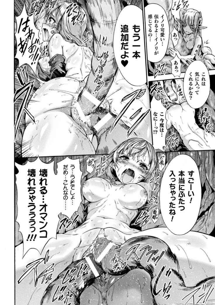Fallen Fantasy ―堕ちたる幻想―