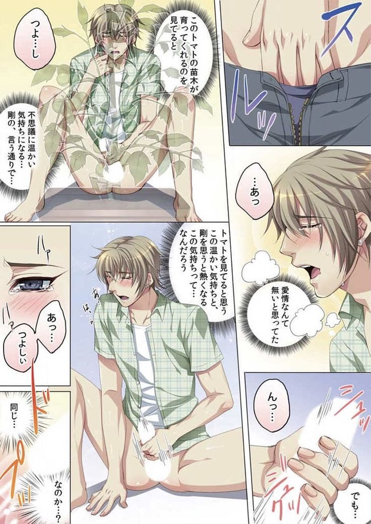 Celeb, Kai Hajimemashita ~Tomato Kareshi no Tsukurikata~