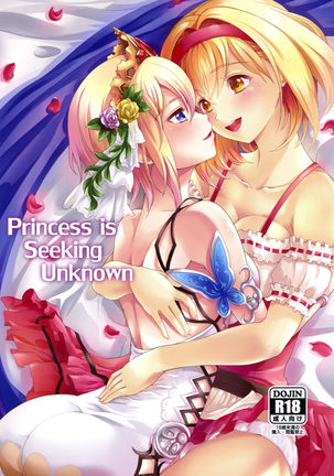 Princess is Seeking Unknown Page #1
