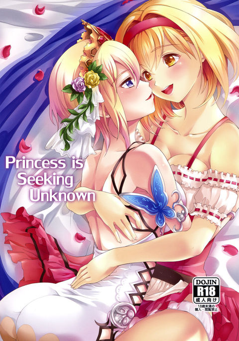 Princess is Seeking Unknown