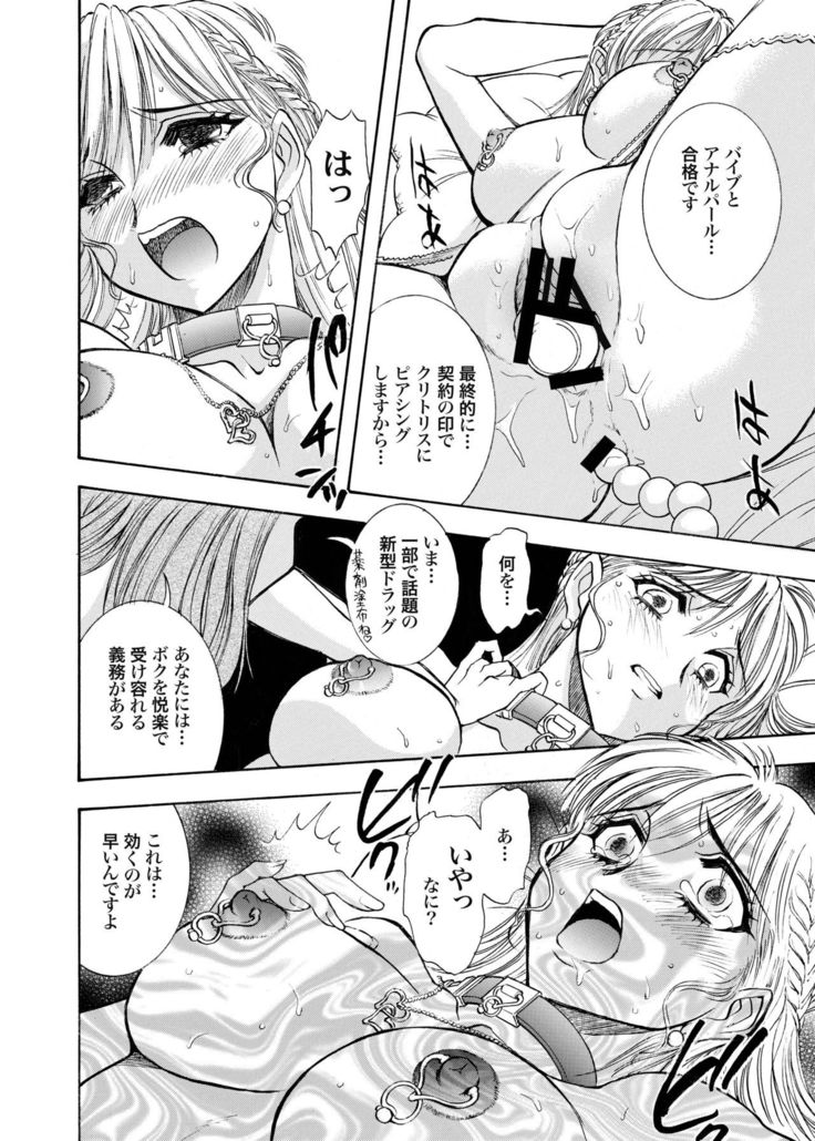 Zoku Seirei Daisanshou "Seiteki Shukujo"