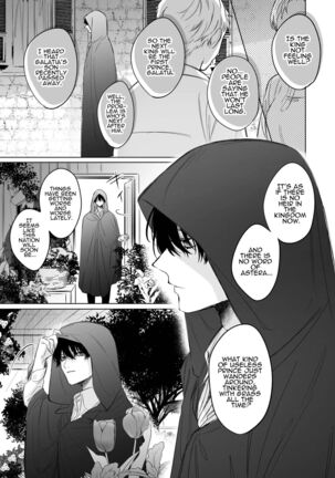  Reitetsu Ouji wa Dekiai no Soshitu ga Aru kamoshirenai | The Cold Hearted Prince May Yet Fall Madly in Love Page #22