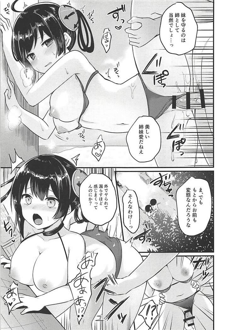 寧海姉ちゃんの身代わり日記