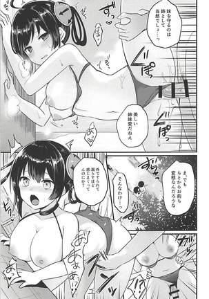 寧海姉ちゃんの身代わり日記 Page #6