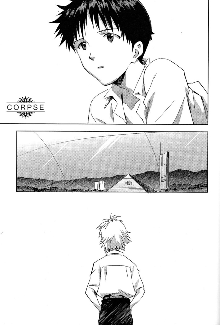 ENDLIGHT