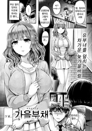 Aki no Ougi 가을부채