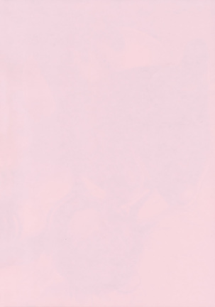 Image 2683479