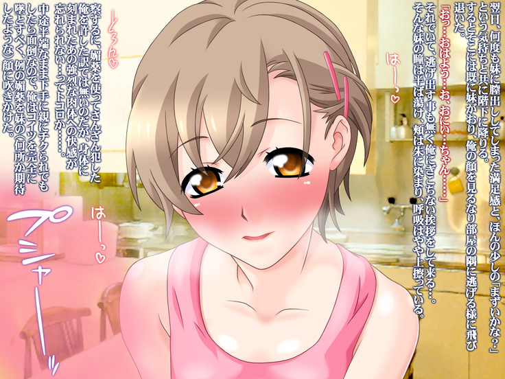Net de Ayashige na Saiinzai o Te ni Ireta node, Sokuochi 2-koma Gekijou Shitatta.