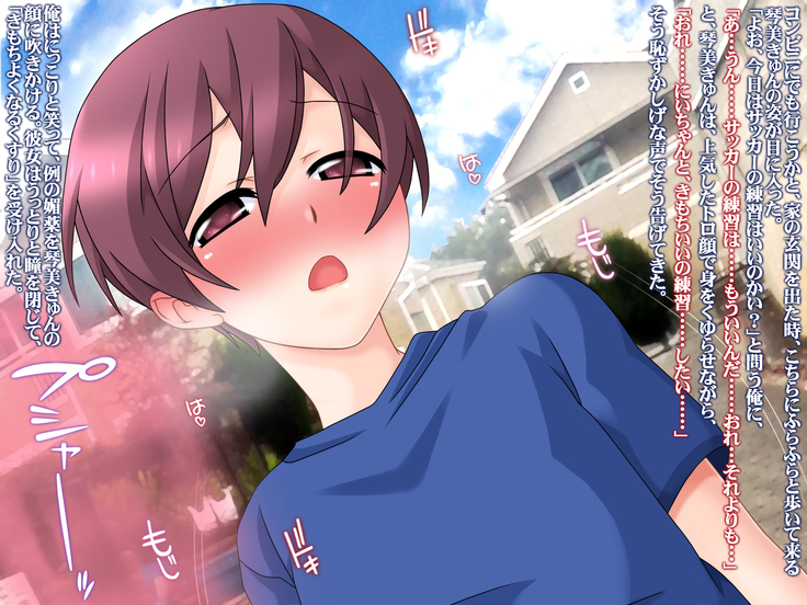 Net de Ayashige na Saiinzai o Te ni Ireta node, Sokuochi 2-koma Gekijou Shitatta.