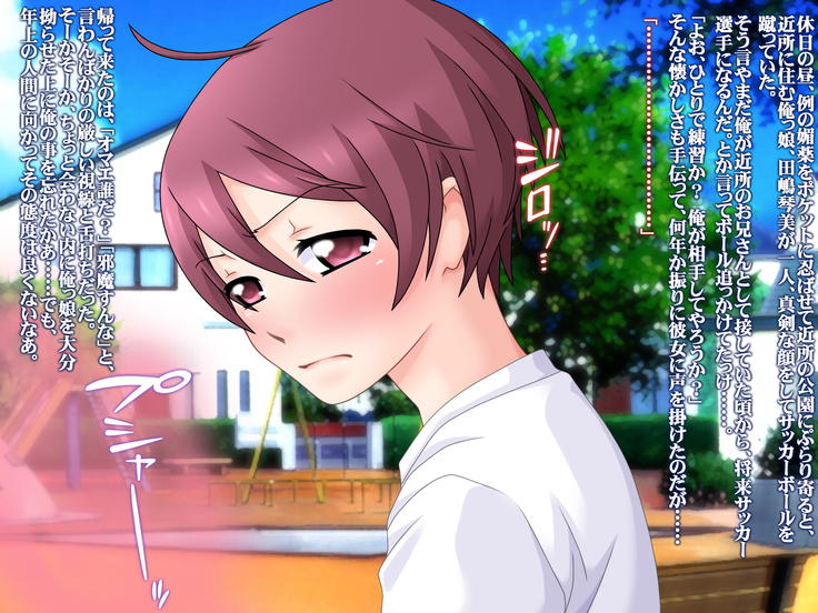 Net de Ayashige na Saiinzai o Te ni Ireta node, Sokuochi 2-koma Gekijou Shitatta.