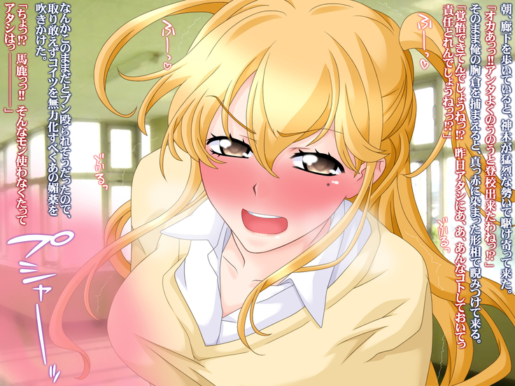 Net de Ayashige na Saiinzai o Te ni Ireta node, Sokuochi 2-koma Gekijou Shitatta.